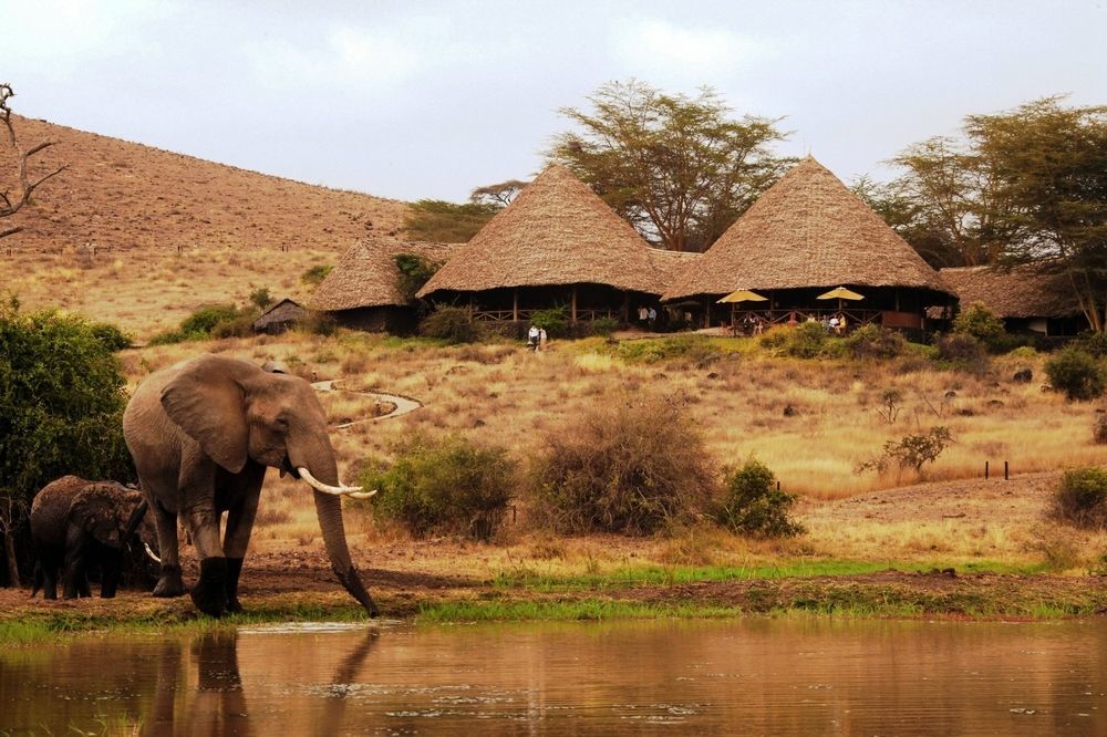 Elewana Tortilis Camp Hotell Amboseli Exteriör bild