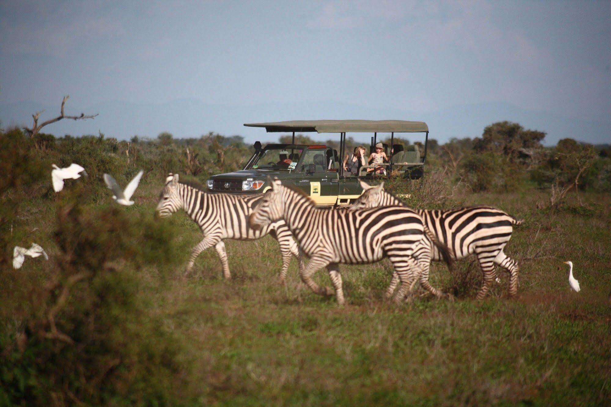 Elewana Tortilis Camp Hotell Amboseli Exteriör bild